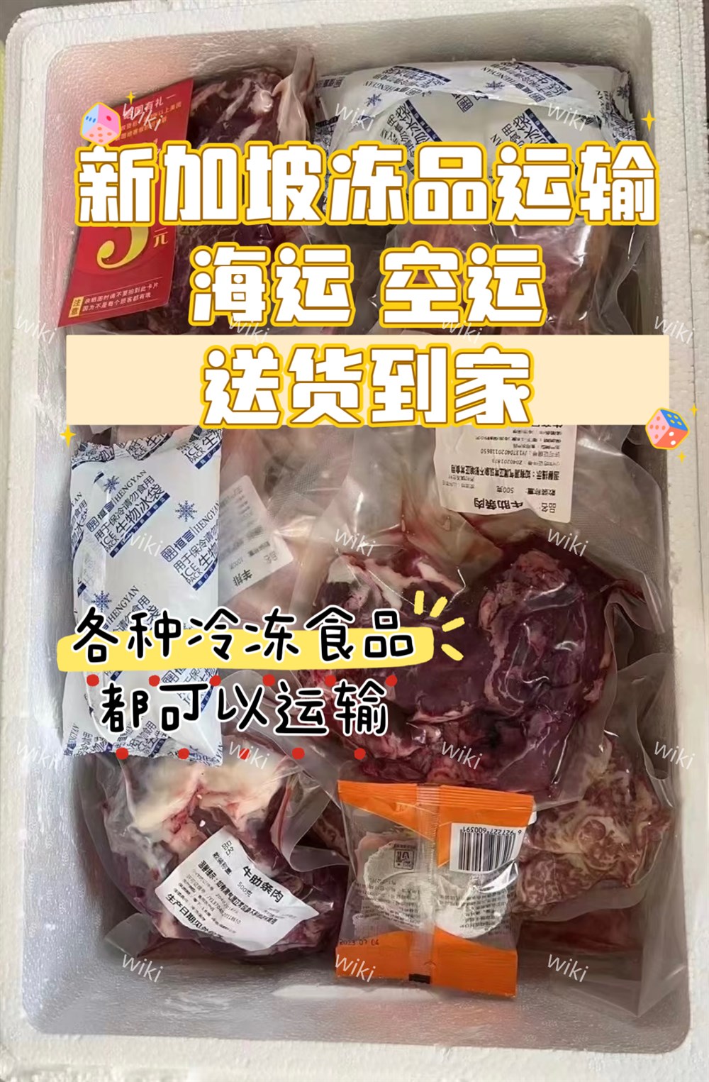 冷凍食品到新加坡海運(yùn)